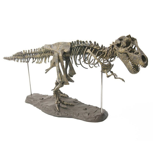 4D Tyrannosaurus Rex Excavation Science Kit Dig Out Dinosaur and Assemble a 4D Skeleton Animal Ancient Skull Fossil - ark4humanity